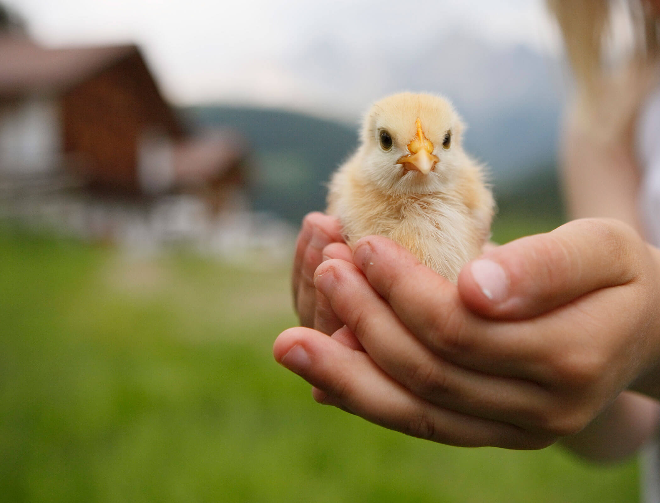 Leben mit der Natur - Karerhof