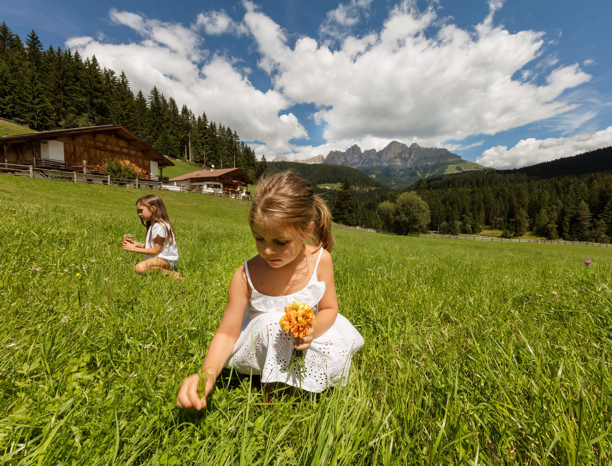 Herrliches Panorama - Karerhof im Sommer